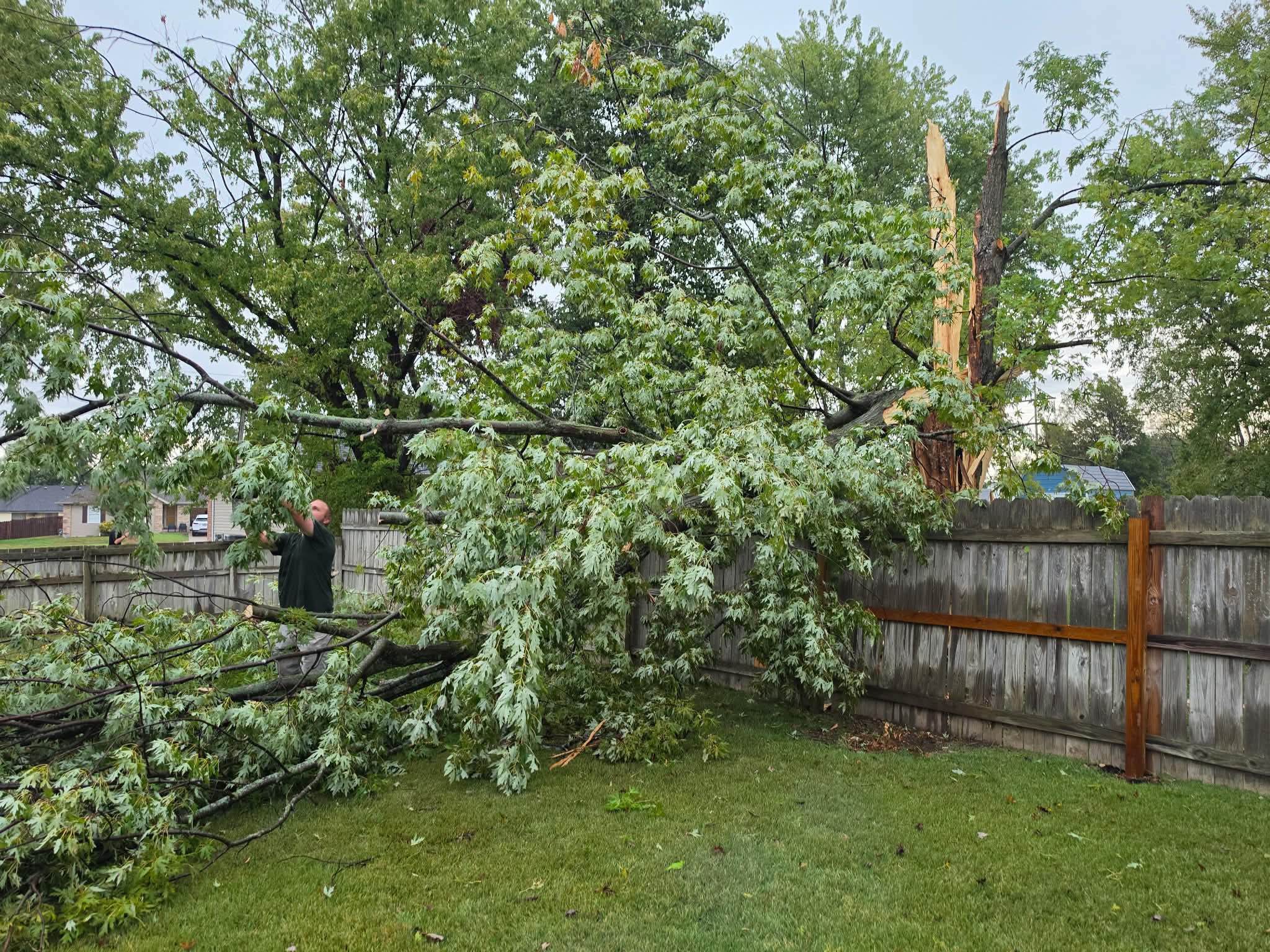 Crew clearing downed limbs after storm damage