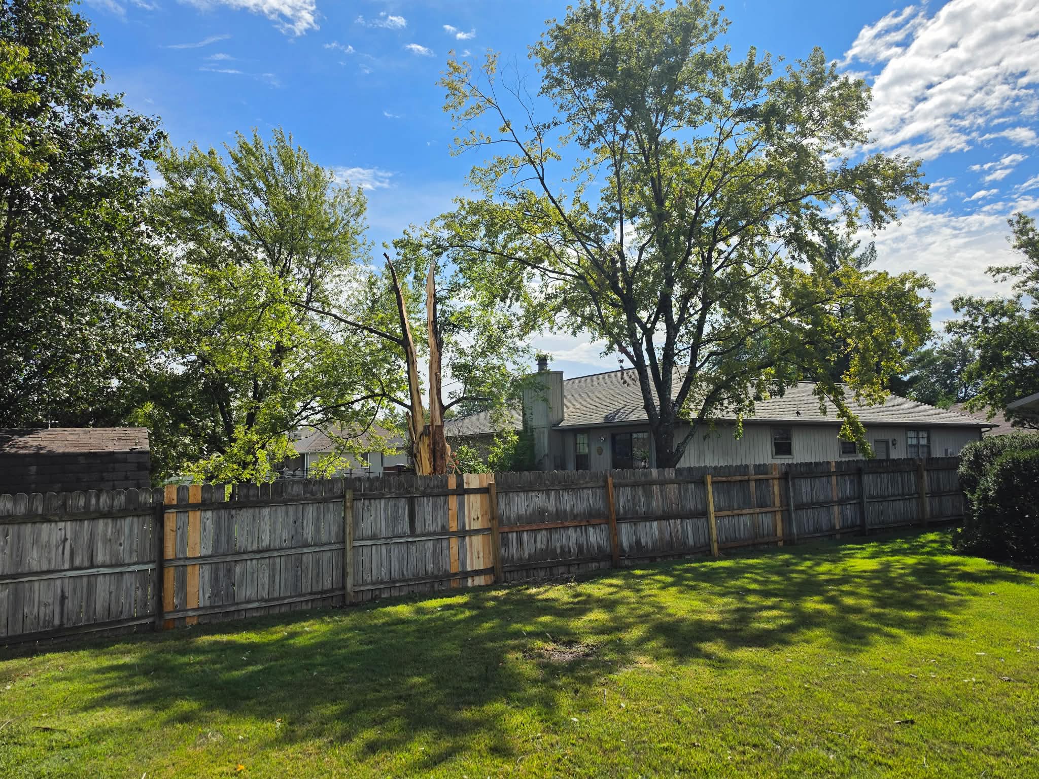 Ever Edge tree removal opened up the yard after removing a damaged tree
