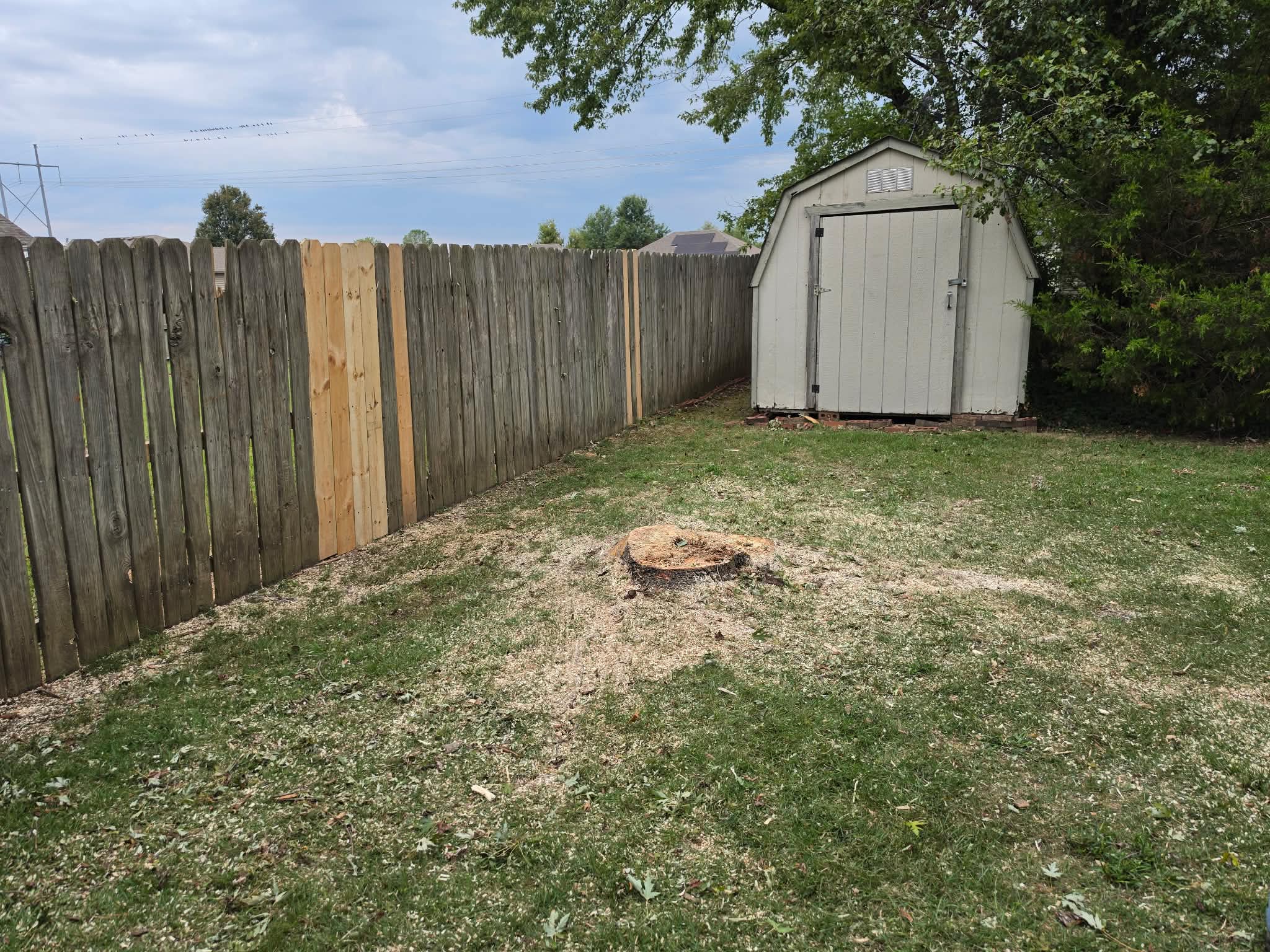 Stump grinding complete and yard cleared